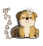 柴犬さん 2025 「たまには本音で」（個別スタンプ：19）