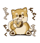 柴犬さん 2025 「たまには本音で」（個別スタンプ：20）