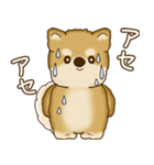 柴犬さん 2025 「たまには本音で」（個別スタンプ：22）