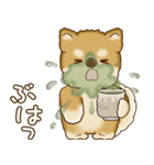 柴犬さん 2025 「たまには本音で」（個別スタンプ：24）