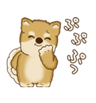 柴犬さん 2025 「たまには本音で」（個別スタンプ：27）