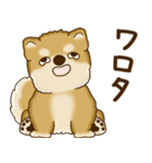 柴犬さん 2025 「たまには本音で」（個別スタンプ：28）