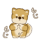柴犬さん 2025 「たまには本音で」（個別スタンプ：30）