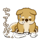 柴犬さん 2025 「たまには本音で」（個別スタンプ：31）