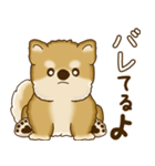 柴犬さん 2025 「たまには本音で」（個別スタンプ：35）