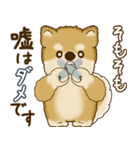 柴犬さん 2025 「たまには本音で」（個別スタンプ：37）