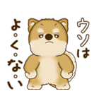 柴犬さん 2025 「たまには本音で」（個別スタンプ：38）