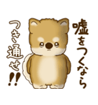 柴犬さん 2025 「たまには本音で」（個別スタンプ：39）