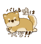 柴犬さん 2025 「たまには本音で」（個別スタンプ：40）
