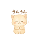 いつでもにゃん！（個別スタンプ：29）