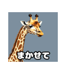 のび〜るキリンの7文字ショート談‼︎（個別スタンプ：9）