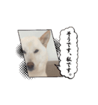 動くそらまる君（個別スタンプ：2）