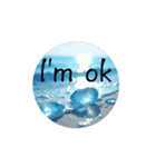 海の英語のスタンプ English.Sea.beautiful（個別スタンプ：7）
