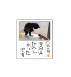 レアの動くスタンプ（個別スタンプ：1）