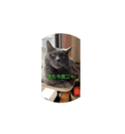 でか猫_nyaaaaaa（個別スタンプ：4）