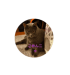 でか猫_nyaaaaaa（個別スタンプ：5）