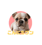 フレブルベイビーズ2（個別スタンプ：1）