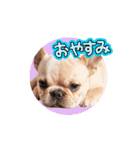 フレブルベイビーズ2（個別スタンプ：4）