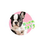フレブルベイビーズ2（個別スタンプ：5）