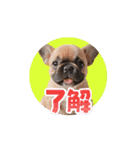 フレブルベイビーズ2（個別スタンプ：6）