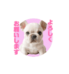 フレブルベイビーズ2（個別スタンプ：10）