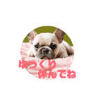 フレブルベイビーズ2（個別スタンプ：11）