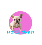 フレブルベイビーズ2（個別スタンプ：12）
