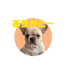 フレブルベイビーズ2（個別スタンプ：14）