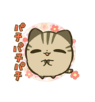 きじまるねこさん（個別スタンプ：1）