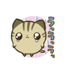 きじまるねこさん（個別スタンプ：7）