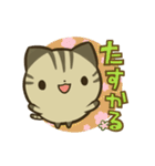 きじまるねこさん（個別スタンプ：11）