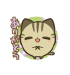 きじまるねこさん（個別スタンプ：12）