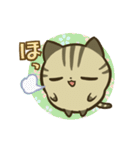 きじまるねこさん（個別スタンプ：15）