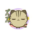 きじまるねこさん（個別スタンプ：17）