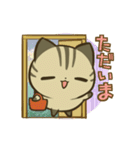 きじまるねこさん（個別スタンプ：19）