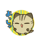 きじまるねこさん（個別スタンプ：23）