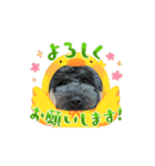 ラウレア2（個別スタンプ：3）