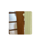 動くHARORIスタンプ①（個別スタンプ：4）