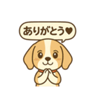 ビーグルのPOPスタンプ（個別スタンプ：1）