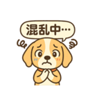 ビーグルのPOPスタンプ（個別スタンプ：7）