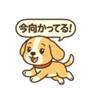 ビーグルのPOPスタンプ（個別スタンプ：9）