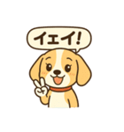 ビーグルのPOPスタンプ（個別スタンプ：11）