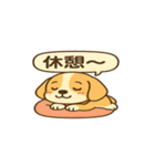 ビーグルのPOPスタンプ（個別スタンプ：12）