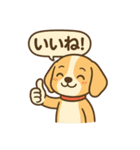 ビーグルのPOPスタンプ（個別スタンプ：13）