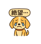 ビーグルのPOPスタンプ（個別スタンプ：16）
