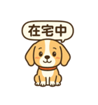 ビーグルのPOPスタンプ（個別スタンプ：17）