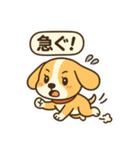 ビーグルのPOPスタンプ（個別スタンプ：18）