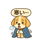 ビーグルのPOPスタンプ（個別スタンプ：19）