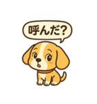 ビーグルのPOPスタンプ（個別スタンプ：21）