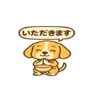 ビーグルのPOPスタンプ（個別スタンプ：24）